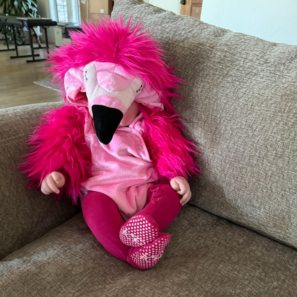Pottery barn costume